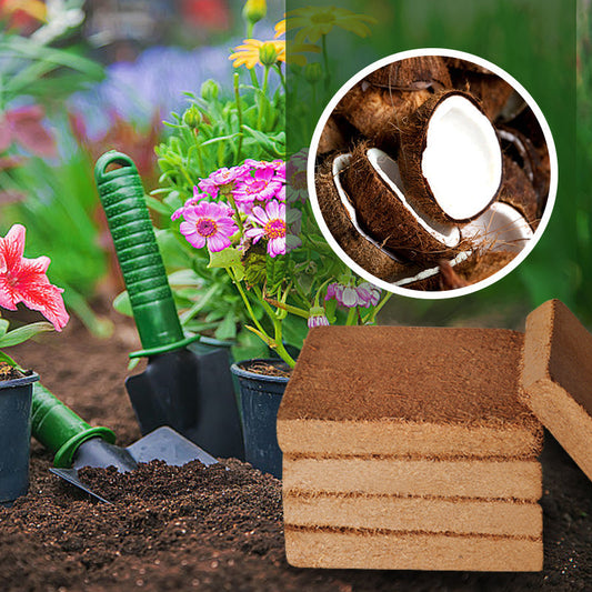 Hot Sale ⏳Organic Coconut Fiber Nutrient Soil for Plants