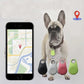 🐕 Two-Way Location Tracking Alarm Pet Tracker 💪