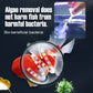 🐠 Half Price for a limited time - Fish Tank Water Purifier Algaecide💦