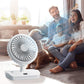 Desktop Oscillating Dual Head Fan