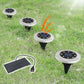 ⚡ Limited Time Half Price-1.65W High Efficiency Solar Panel Charger