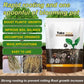 🔥Hot Sales - 50% OFF🎉Strong Rooting Powder Microbial Fertilizer