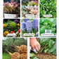 🔥Hot Sales - 50% OFF🎉Strong Rooting Powder Microbial Fertilizer