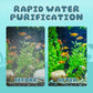 💦Limited Time 50% Off - Aquarium Silent Motorized Filter✨