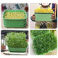 49% OFF🔥 Stackable Sprout Grow Box — 💯 Multi-tier design, perfect for home gardening🌿 Start your healthy green lifestyle!