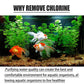 🎉Buy 1 Get 1 Free🎉Fish Ponds Aquariums Chlorine Removal Tablets