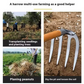 🍀Weeding Rake for Gardening & Weeding（50% OFF）