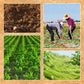 Hot Sale-Agricultural Spike Harrow