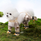 50% OFF 🔥 Outdoor Dust-Proof Dog Pants ✅