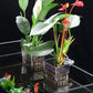 Hanging Fish Tank Planter Holder