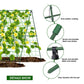 🥒A-Frame Garden Trellis for Climbing Plants
