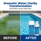 🏊‍♂️Summer Sale 40% off!💧Swimming Pool Purifying Liquid – Crystal Clear Water, Zero Hassle! 💙