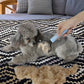🐱🐶Premium Coat Brush for Cats and Dogs | Soft Deshedding Brush💖