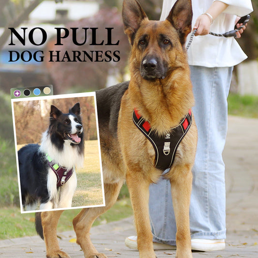 🐶  No Pull Dog Harness with Leash & LED Collar – Secure & Comfortable ✨