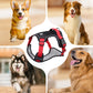 🐶  No Pull Dog Harness with Leash & LED Collar – Secure & Comfortable ✨