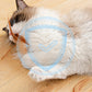 ⏳Time-Limited Special⏰Interactive Cat Bouncy Ball with Feather
