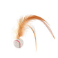 ⏳Time-Limited Special⏰Interactive Cat Bouncy Ball with Feather