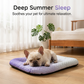 🐶🐱❄️Cooling Gel Mat for Pets Summer Heat Relief Pad Breathable Non-Toxic Cool Sleeping Mat for Dogs Cats