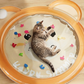 ⏳Limited time – 50% OFF⏰Non-Slip Cooling Splash Pet Mat