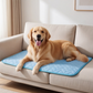 🐾 50% OFF NOW! ❄️ Breathable Ice Silk Cooling Pet Mat – Keeps pets cool & comfy – Perfect for hot days – non-slip, washable & portable 🐶🌞✨
