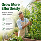 🎉 2026 Sale — Over 24,600 Sold!🥒 Expandable Cucumber Trellis – Climbing Plant Support for Garden Vegetables