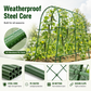 🎉 2026 Sale — Over 24,600 Sold!🥒 Expandable Cucumber Trellis – Climbing Plant Support for Garden Vegetables