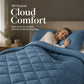 🛏️ Brushed Microfiber Comforter Set: Diamond Quilting, Moisture-Wicking, All-Season, with 2 Pillowcases