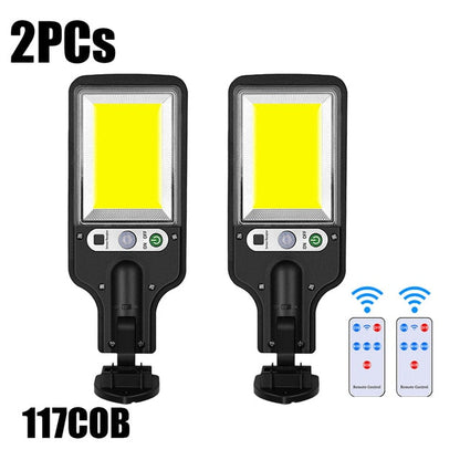 Solar Induction Street Light